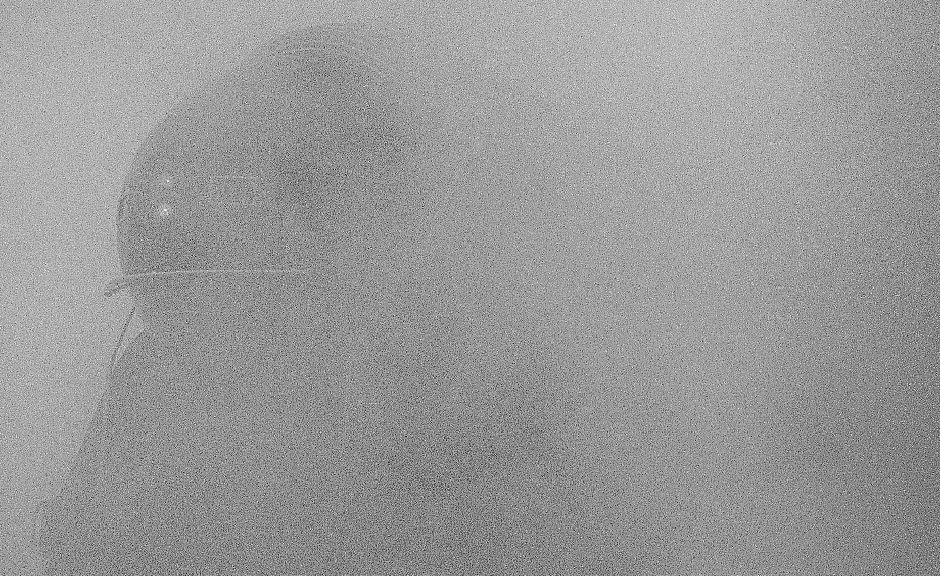 611-fog-closeup
