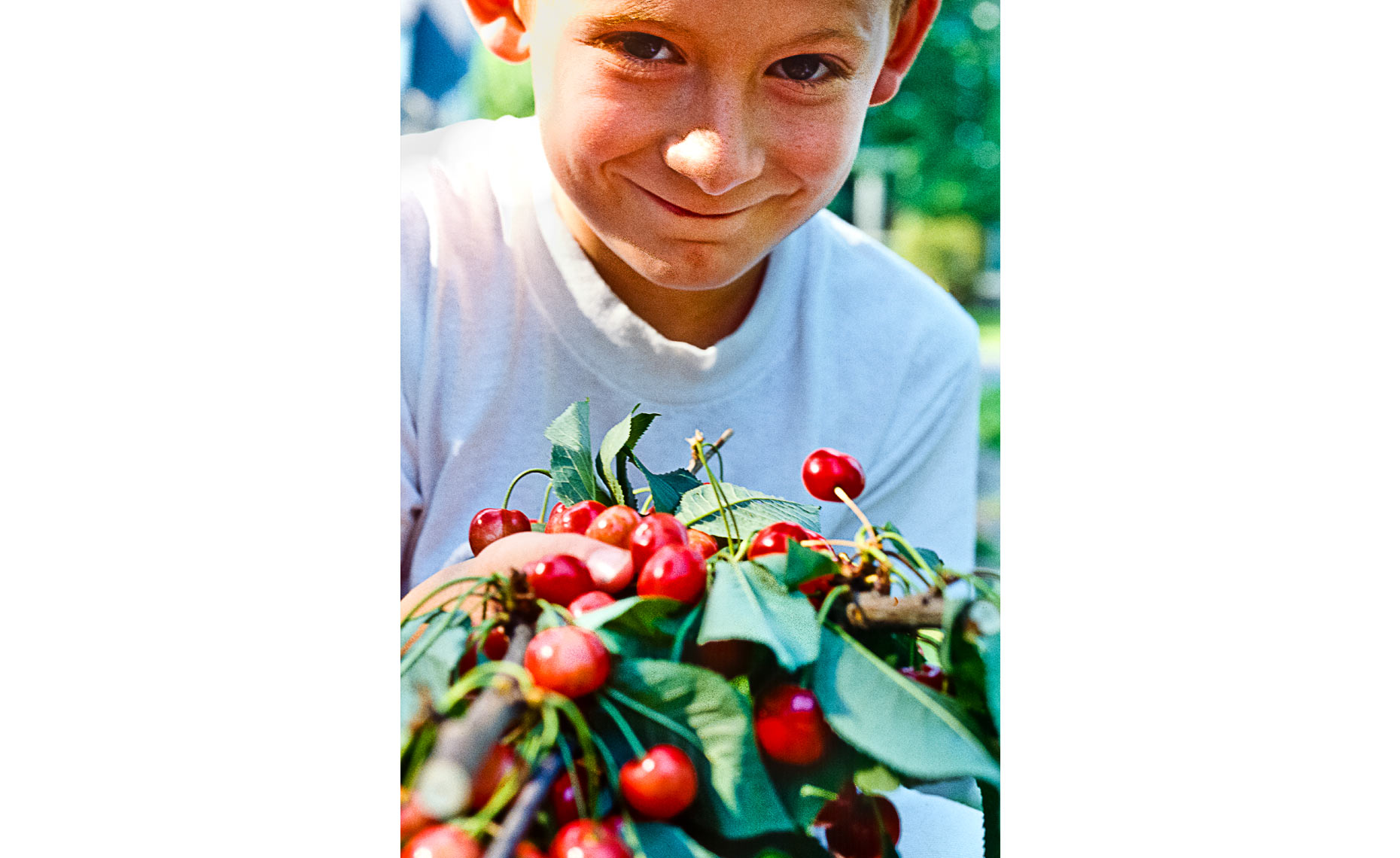 Kid-with-Cherries